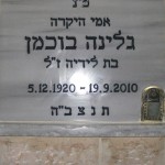 מצבות בכוכים 108