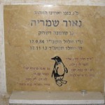 מצבות בכוכים 11