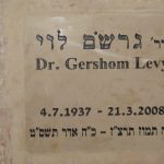 מצבות בכוכים 110