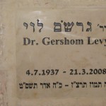 מצבות בכוכים 110