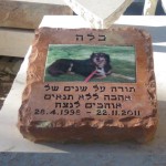 מצבות בכוכים 114