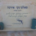מצבות בכוכים 24