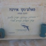 מצבות בכוכים 24