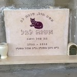 מצבות בכוכים 51