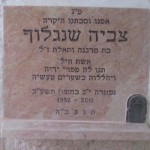 מצבות בכוכים 9