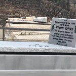 מצבות במכפלה 106