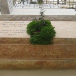 מצבות במכפלה 115