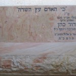 מצבות במכפלה 129