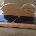 מצבות במכפלה 132