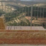 מצבות במכפלה 32