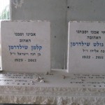 מצבות במכפלה 53