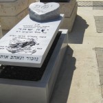 מצבות משולבות גינה (41)