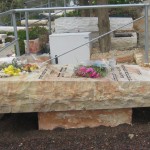 מצבות משולבות גינה (42)