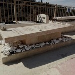 מצבות משולבות גינה (46)