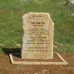 מצבות משולבות גינה (50)