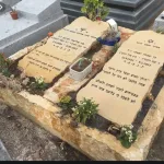 מצבות אבן חלילה צהובה (21)