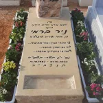 מצבות אבן חלילה צהובה (67)