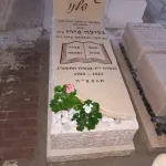 מצבות אבן חלילה צהובה (75)