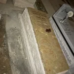 מצבות אבן חלילה צהובה (76)